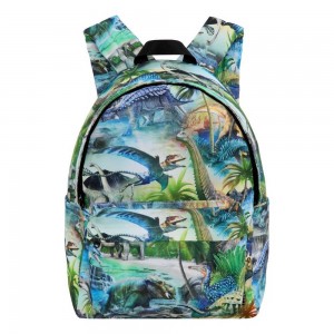 Molo Backpack Mio Bags Dino Fantastic | NL0000901