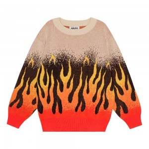 Molo Bello Sweatshirts Cardigans Jongen On Fire | NL0000639