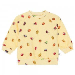 Molo Disc Sweatshirts Cardigans Jongen Coccinella | NL0001395