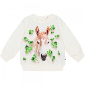 Molo Disc Sweatshirts Cardigans Meisje Clover Foal | NL0001406