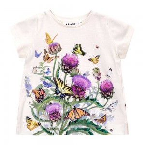 Molo Elly T Shirts Tops Meisje Garden Top | NL0001427