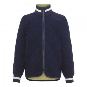 Molo Husky Fleece Softshell Classic Navy | NL0000156