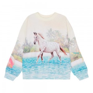 Molo Maxi Sweatshirts Cardigans Meisje Island Horse | NL0000469