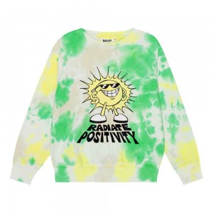 Molo Memphis Sweatshirts Cardigans Jongen Garden Dye | NL0000749