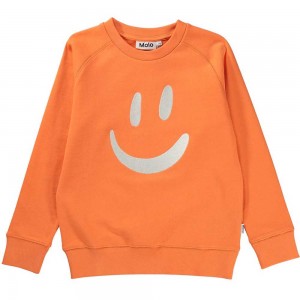 Molo Mike Sweatshirts Cardigans Jongen Ember | NL0000742