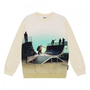 Molo Miksi Sweatshirts Cardigans Jongen Backlit Halfpipe | NL0000752