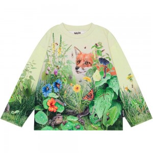 Molo Mountoo Sweatshirts Cardigans Jongen Wild Garden | NL0000754