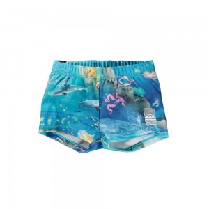 Molo Nansen Zwemshorts Ocean Zones | NL0001138