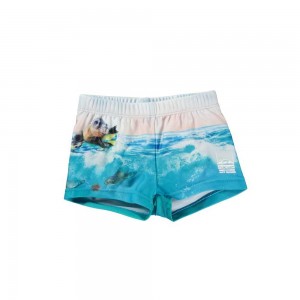 Molo Nansen Zwemshorts Sealion | NL0001115