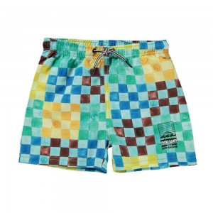 Molo Niko Zwemshorts Big Check | NL0001105