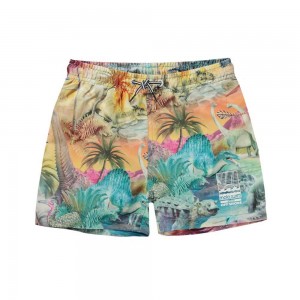 Molo Niko Zwemshorts Dino Paradis | NL0001132