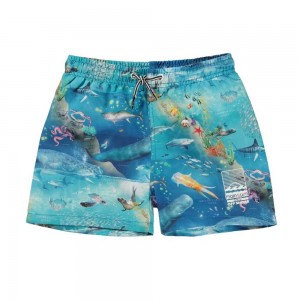 Molo Niko Zwemshorts Ocean Zones | NL0001137