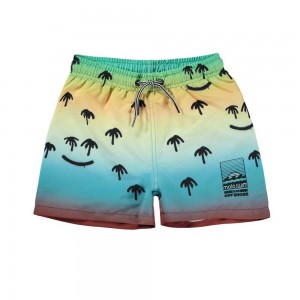 Molo Niko Zwemshorts Palm Spray | NL0001117