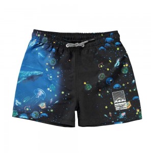 Molo Niko Zwemshorts Plankton | NL0001159