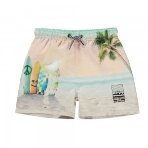 Molo Niko Zwemshorts Sunrise Surfer | NL0001120