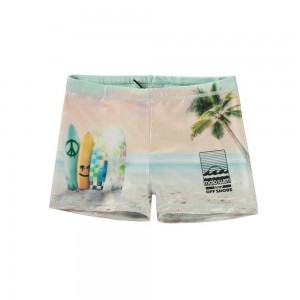 Molo Norton Placed Zwemshorts Sunrise Surfer | NL0001119