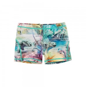 Molo Norton Zwemshorts Dino Paradis | NL0001133