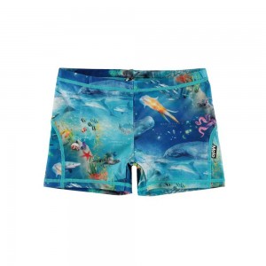 Molo Norton Zwemshorts Ocean Zones | NL0001136