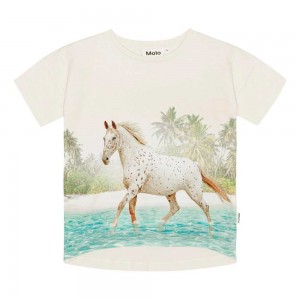 Molo Raeesa T Shirts Tops Meisje Horse On Beach | NL0000523