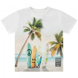 Molo Rame T Shirts Tops Jongen Sunrise Surfer | NL0000774