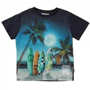 Molo Rame T Shirts Tops Jongen Sunset Surfer | NL0000628