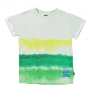 Molo Randon T Shirts Tops Jongen Aqua Green | NL0000636