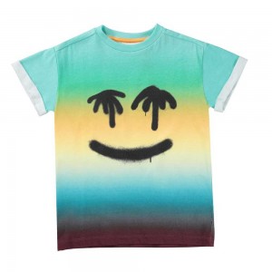 Molo Randon T Shirts Tops Jongen Palm Spray Face | NL0000805