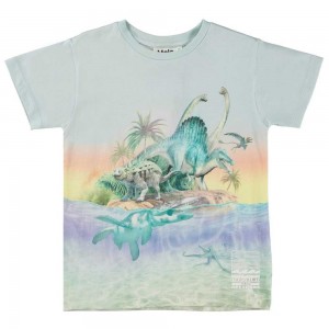 Molo Raul T Shirts Tops Jongen Ancient Island | NL0000630