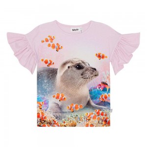 Molo Rayah T Shirts Tops Meisje Seal Reef | NL0000498