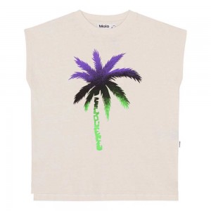 Molo Rayla T Shirts Tops Meisje Sea Shell | NL0000522