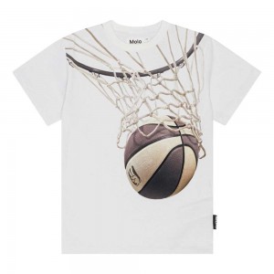 Molo Riley T Shirts Tops Jongen Basket Net | NL0000798