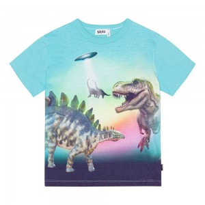 Molo Riley T Shirts Tops Jongen Beaming Dinos | NL0000829