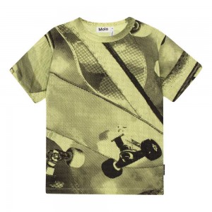 Molo Riley T Shirts Tops Jongen Boards | NL0000823