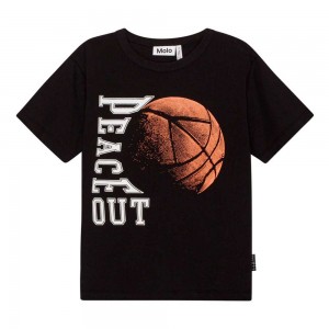 Molo Riley T Shirts Tops Jongen Ember Basket | NL0000804