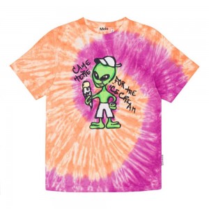 Molo Riley T Shirts Tops Jongen Ember Purple Dye | NL0000783