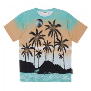 Molo Riley T Shirts Tops Jongen Holiday Island | NL0000778