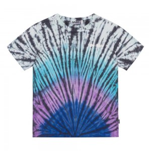 Molo Riley T Shirts Tops Jongen Lit Dye | NL0000851