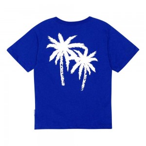 Molo Riley T Shirts Tops Jongen Reef Blue | NL0000770