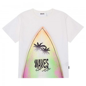 Molo Riley T Shirts Tops Jongen Surfboard | NL0000813