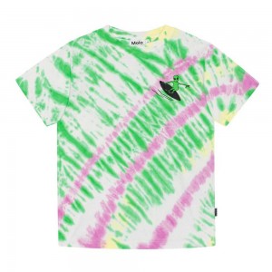 Molo Rodney T Shirts Tops Jongen Green Helio Dye | NL0000816