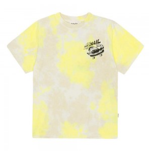 Molo Rodney T Shirts Tops Jongen Lemon Sand Dye | NL0000825