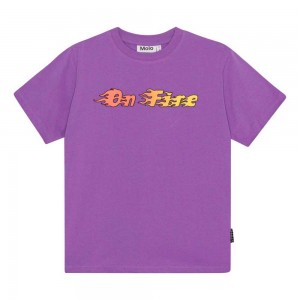 Molo Rodney T Shirts Tops Jongen Purple Sky | NL0000852