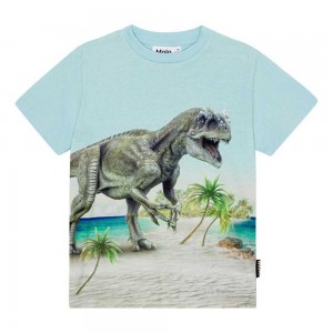 Molo Roxo T Shirts Tops Jongen Beach Dino | NL0000809