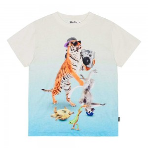 Molo Roxo T Shirts Tops Jongen Dance Animals | NL0000854