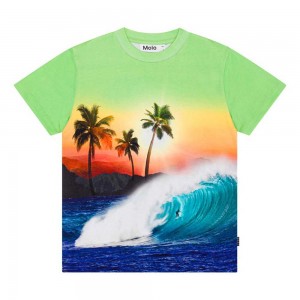 Molo Roxo T Shirts Tops Jongen Green Sunset | NL0000771