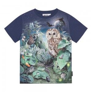 Molo Roxo T Shirts Tops Jongen Night Garden | NL0000826