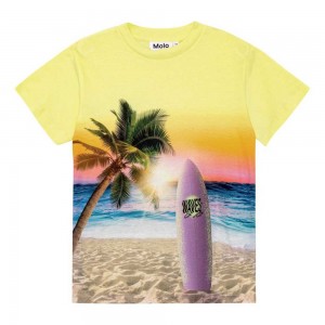 Molo Roxo T Shirts Tops Jongen Sunset Surf | NL0000776