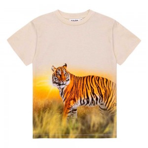 Molo Roxo T Shirts Tops Jongen Tiger Sand | NL0000855