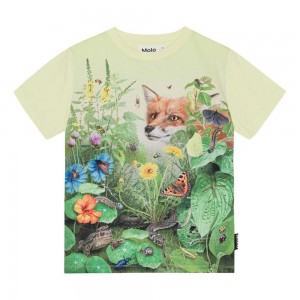 Molo Roxo T Shirts Tops Jongen Wild Garden | NL0000827