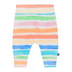 Molo Sammy Pants Jeans Jongen Multi Colours | NL0001332